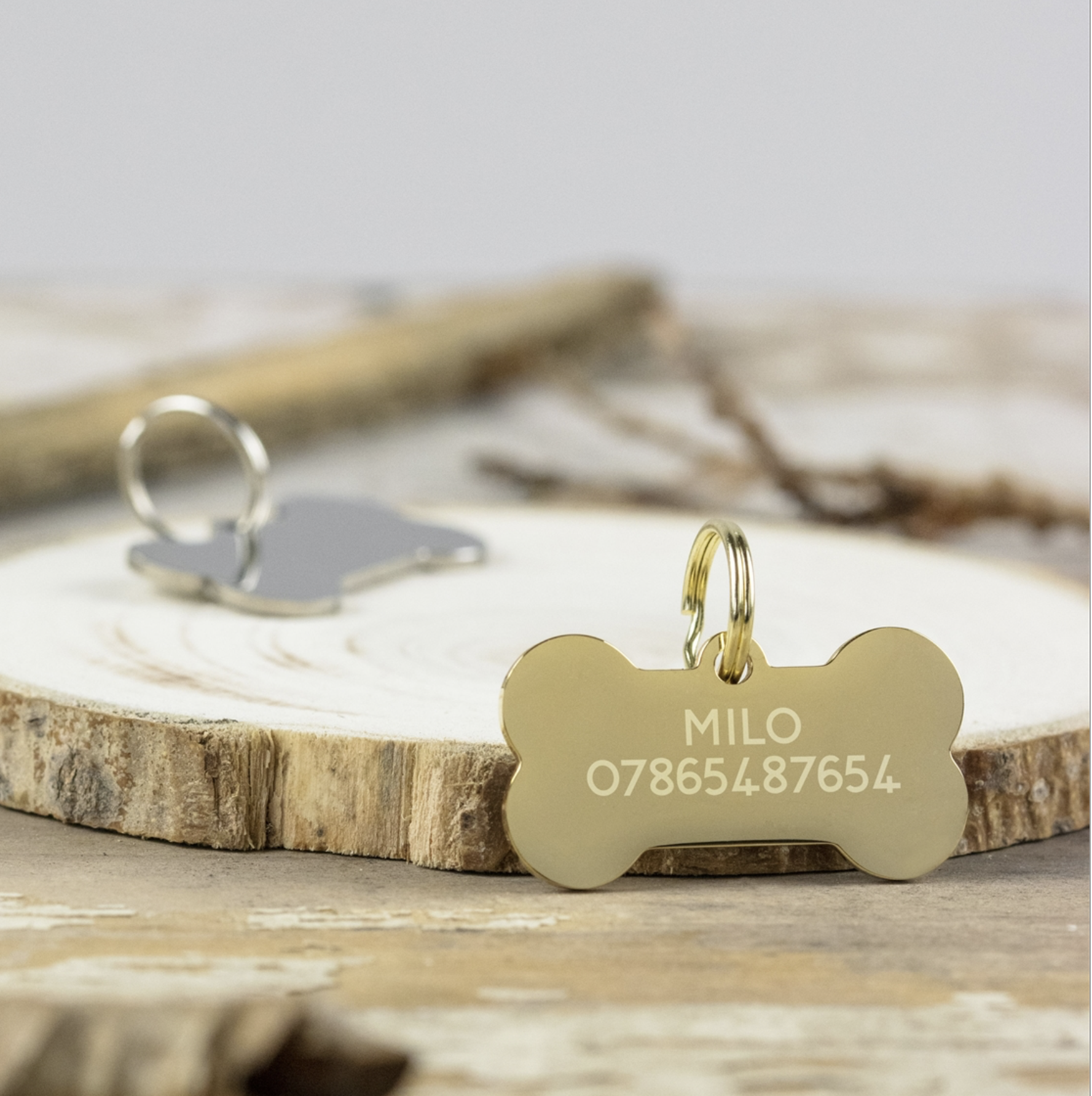 Bone Shaped Dog ID Tag
