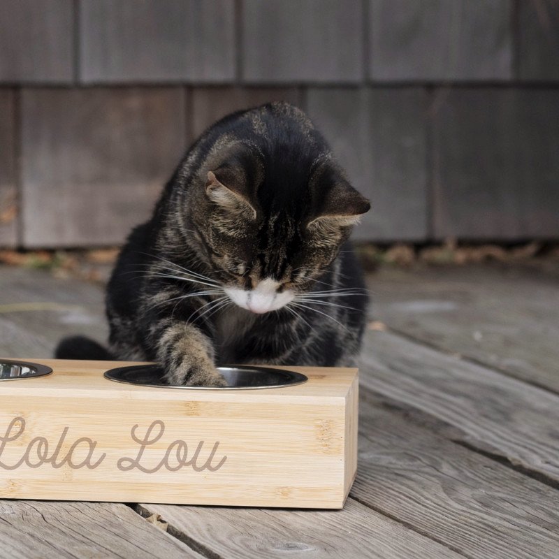 Personalised Double Pet Bowl - Image 2