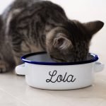 Personalised Enamel Cat Bowl